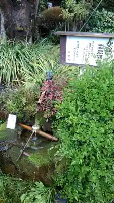 寳晃院の手水舎