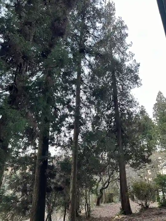 大宮温泉神社(栃木県)