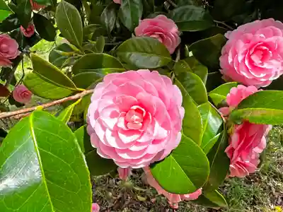 磐神社(岩手県)