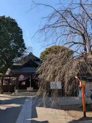 猿田彦神社(東京都)