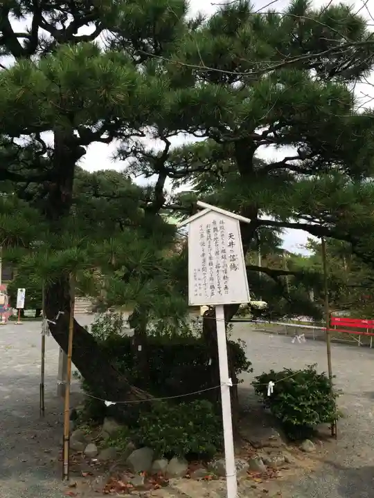 光雲神社(福岡県)