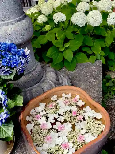 極楽寺(静岡県)