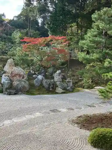 金地院の庭園