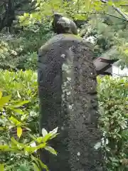 高徳院(神奈川県)