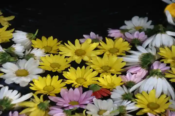 大鏑神社の手水舎