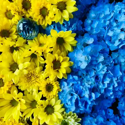 土津神社｜こどもと出世の神さまの手水舎