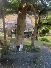 山神社(静岡県)