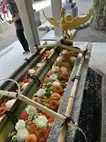 富岡八幡宮(東京都)