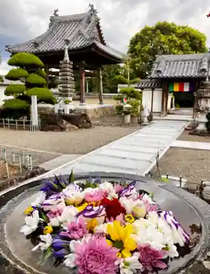 真言宗　善通寺派　薬王寺(香川県)
