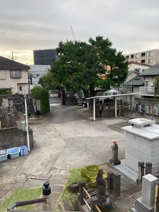 最上寺(東京都)