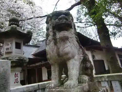 中村八幡宮の狛犬