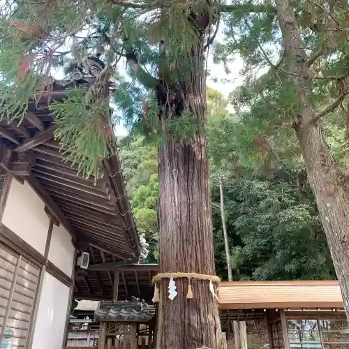 日神社(和歌山県)