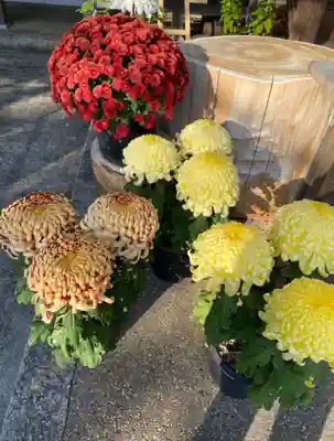 伊奈冨神社(三重県)
