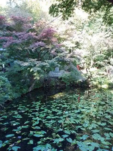 貫井神社の庭園