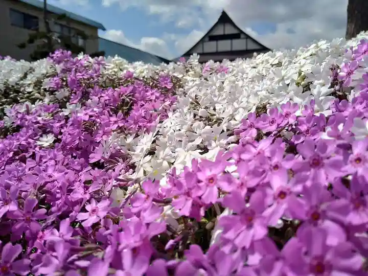 雨竜 専福寺(北海道)