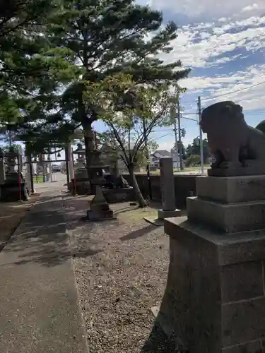 藤巻神社の狛犬