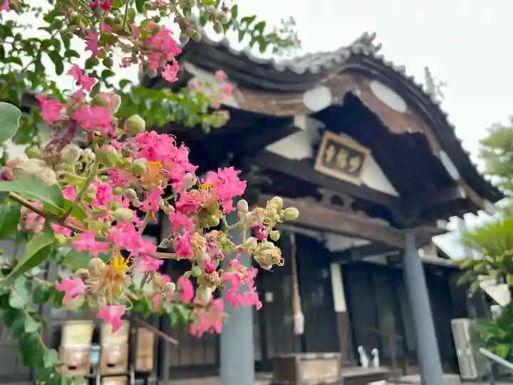 妙輪寺(神奈川県)