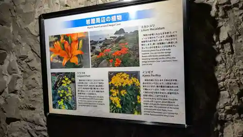 江の島岩屋の自然