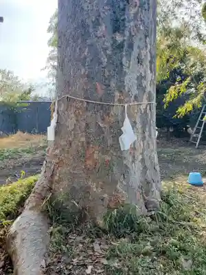 天津戸隠神社(栃木県)