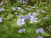 常盤神社(山口県)