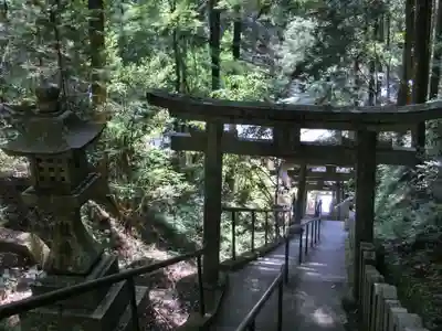 脳天大神龍王院(奈良県)