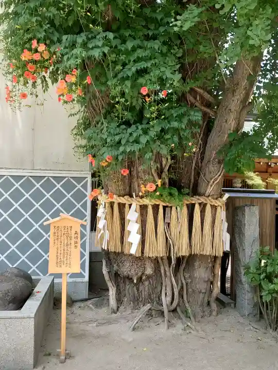 櫛田神社(福岡県)