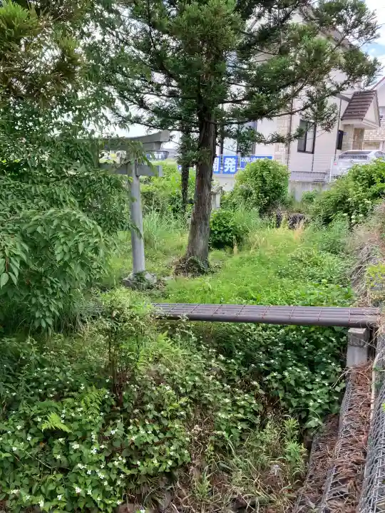 上殿町厳島神社の{uncategorized: "未分類", other: "その他", undefined: "問題あり", building: "その他建物", grave: "お墓", sacred_gate: "鳥居", guardian: "狛犬", statue: "像", buddha: "仏像", history: "歴史", nature: "自然", garden: "庭園", animal: "動物", pagoda: "塔", temizu: "手水舎", mountain_gate: "山門・神門", sanctuary: "本殿・本堂", subordinate: "末社・摂社", art: "芸術", scenery: "景色", jizo: "地蔵", ema: "絵馬", goshuin: "御朱印", omikuji: "おみくじ", items: "授与品その他", amulet: "お守り", goshuincho: "御朱印帳", eats: "食事", festival: "お祭り", votive_dance: "神楽", shichigosan: "七五三参", wedding: "結婚式", experience: "体験その他", initially: "初詣", around: "周辺", anti_infection: "感染症対策"}