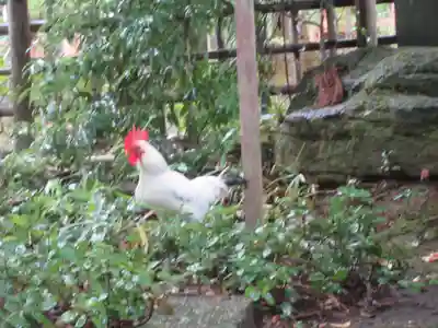 大崎八幡宮(宮城県)