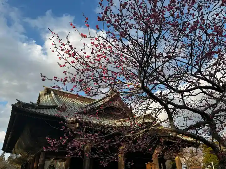東勝寺宗吾霊堂(千葉県)