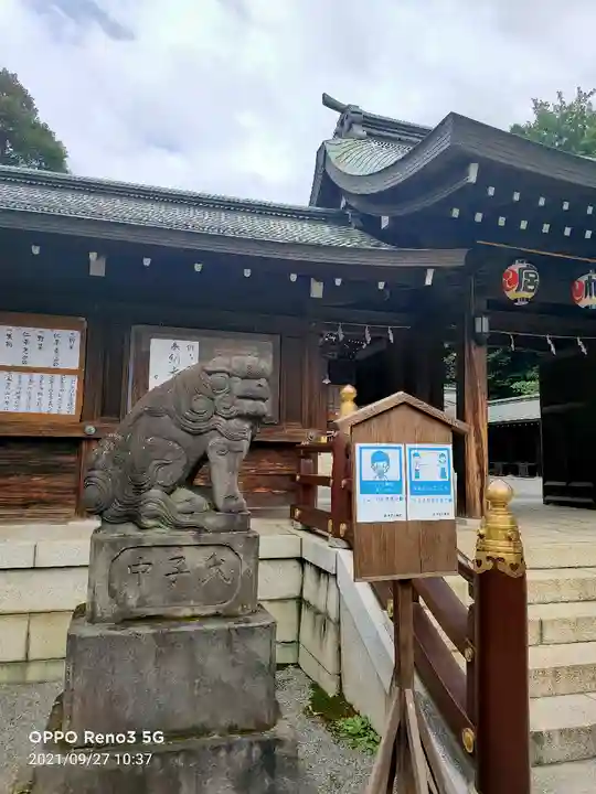 井草八幡宮の狛犬