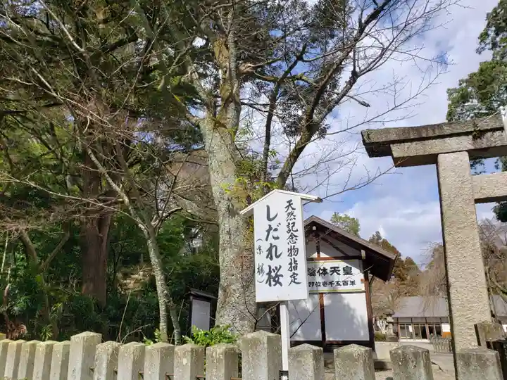 足羽神社のその他建物