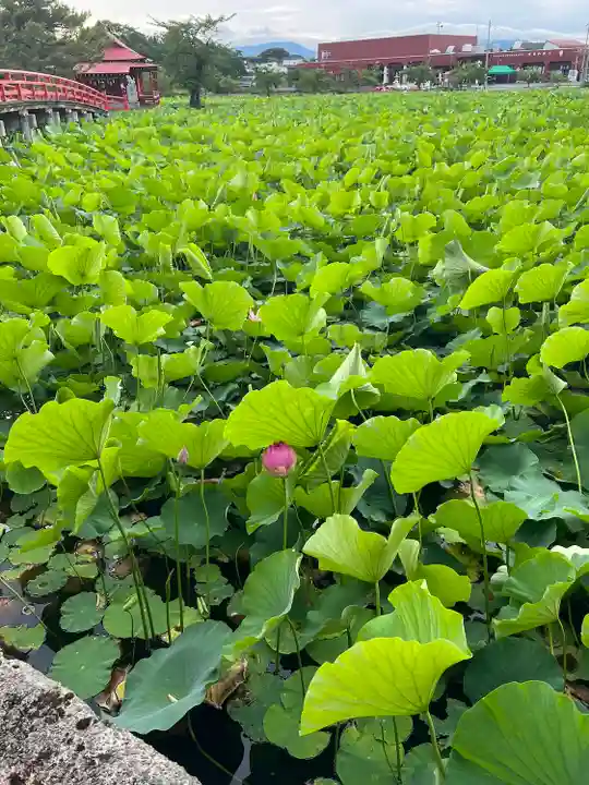 猿賀神社の自然