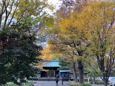 淨眞寺(東京都)