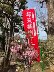 浄流寺(神奈川県)