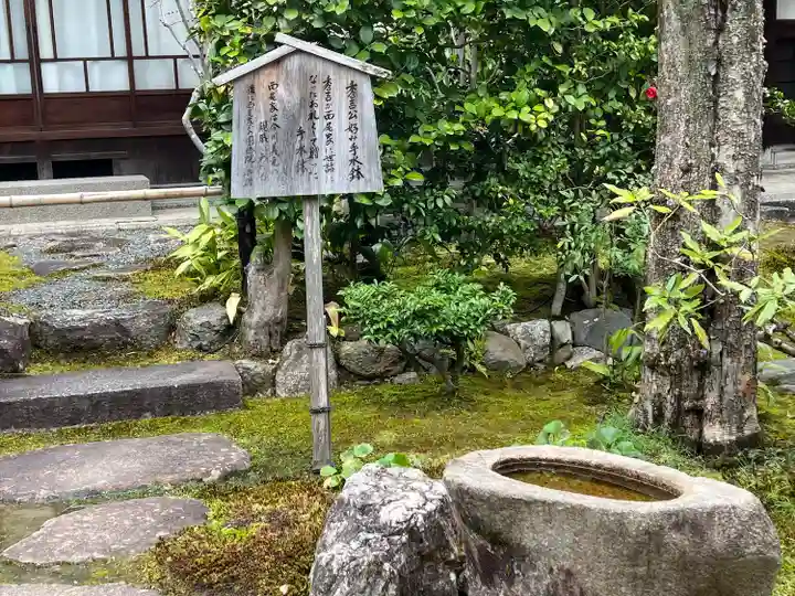 圓徳院(京都府)