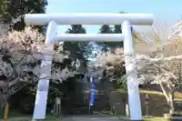 土津神社|こどもと出世の神さまの鳥居