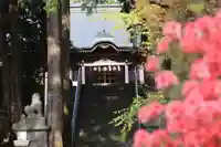 豊景神社の景色