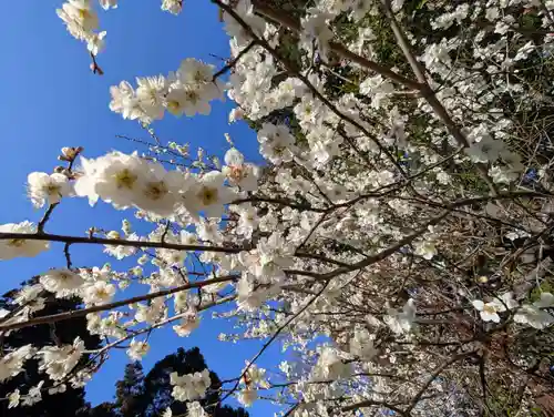 豊景神社(福島県)