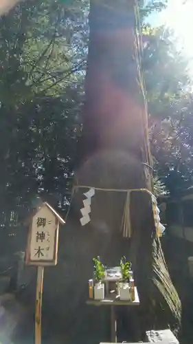一言主神社(茨城県)