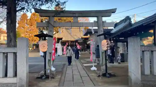 尉殿神社の初詣