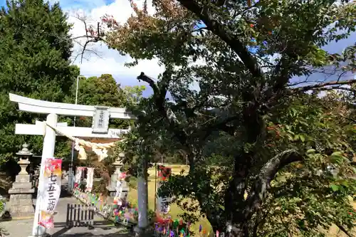 高司神社〜むすびの神の鎮まる社〜の鳥居