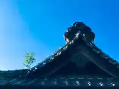 伏木香取神社の自然