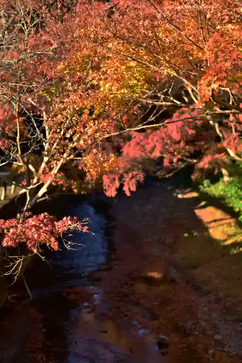 小國神社(静岡県)