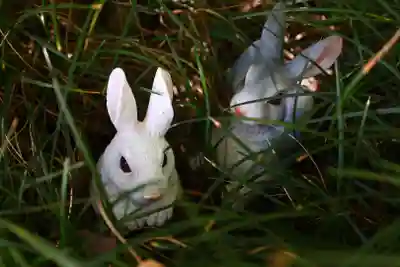 三輪神社(愛知県)