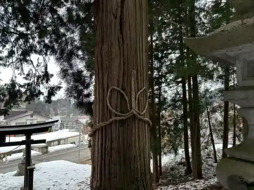 赤瀧神社の{uncategorized: "未分類", other: "その他", undefined: "問題あり", building: "その他建物", grave: "お墓", sacred_gate: "鳥居", guardian: "狛犬", statue: "像", buddha: "仏像", history: "歴史", nature: "自然", garden: "庭園", animal: "動物", pagoda: "塔", temizu: "手水舎", mountain_gate: "山門・神門", sanctuary: "本殿・本堂", subordinate: "末社・摂社", art: "芸術", scenery: "景色", jizo: "地蔵", ema: "絵馬", goshuin: "御朱印", omikuji: "おみくじ", items: "授与品その他", amulet: "お守り", goshuincho: "御朱印帳", eats: "食事", festival: "お祭り", votive_dance: "神楽", shichigosan: "七五三参", wedding: "結婚式", experience: "体験その他", initially: "初詣", around: "周辺", anti_infection: "感染症対策"}