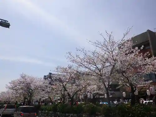 鶴岡八幡宮の自然