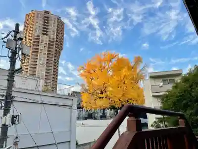 専光寺(東京都)