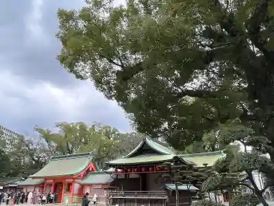 住吉神社の{uncategorized: "未分類", other: "その他", undefined: "問題あり", building: "その他建物", grave: "お墓", sacred_gate: "鳥居", guardian: "狛犬", statue: "像", buddha: "仏像", history: "歴史", nature: "自然", garden: "庭園", animal: "動物", pagoda: "塔", temizu: "手水舎", mountain_gate: "山門・神門", sanctuary: "本殿・本堂", subordinate: "末社・摂社", art: "芸術", scenery: "景色", jizo: "地蔵", ema: "絵馬", goshuin: "御朱印", omikuji: "おみくじ", items: "授与品その他", amulet: "お守り", goshuincho: "御朱印帳", eats: "食事", festival: "お祭り", votive_dance: "神楽", shichigosan: "七五三参", wedding: "結婚式", experience: "体験その他", initially: "初詣", around: "周辺", anti_infection: "感染症対策"}