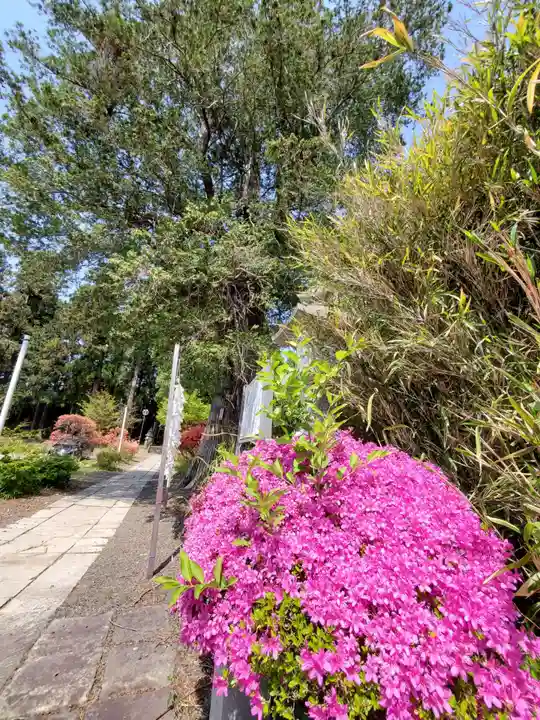 豊景神社の庭園