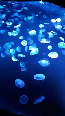 押上天祖神社の周辺